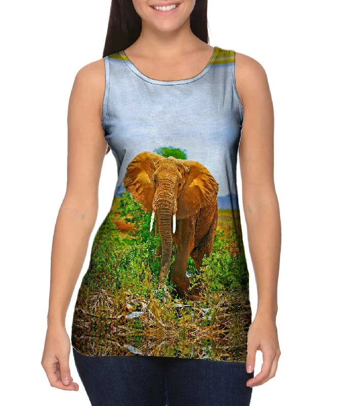 Safari Elephant